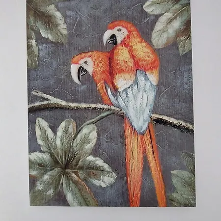 Daire George & Chrysi *